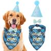 Pet Dog Cat Birthday Party Flag Dog Birthday Hat Triangle Scarf Big Dog Birthday Drool Scarf Bib Dog Cat Party Decoration