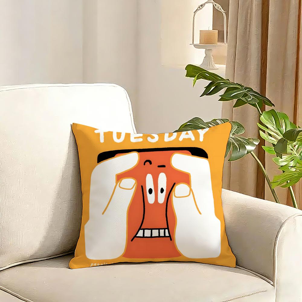 In a Frame Creative and Interesting Cushion Cover Reversible Plush Pillow Cover Soft Fluffy Home Decor for Sofa Bedroom