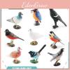 Bird Replication Pvc Magpie Pigeon Models For Home Decor And Ornithology Enthusiasts