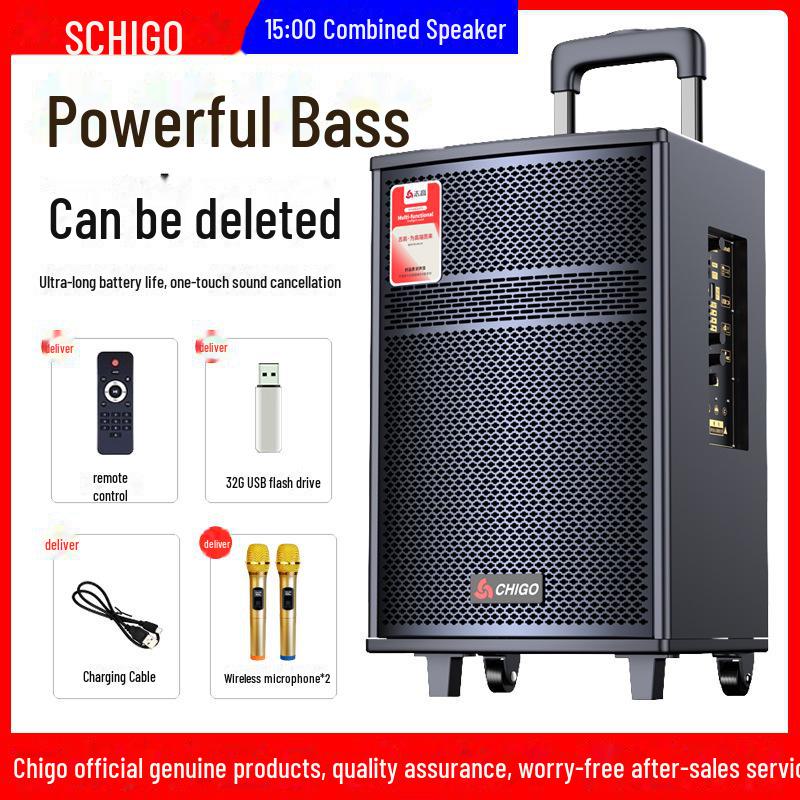 Chigo High-Power Outdoor Bluetooth Trolley Speaker for Music & Karaoke