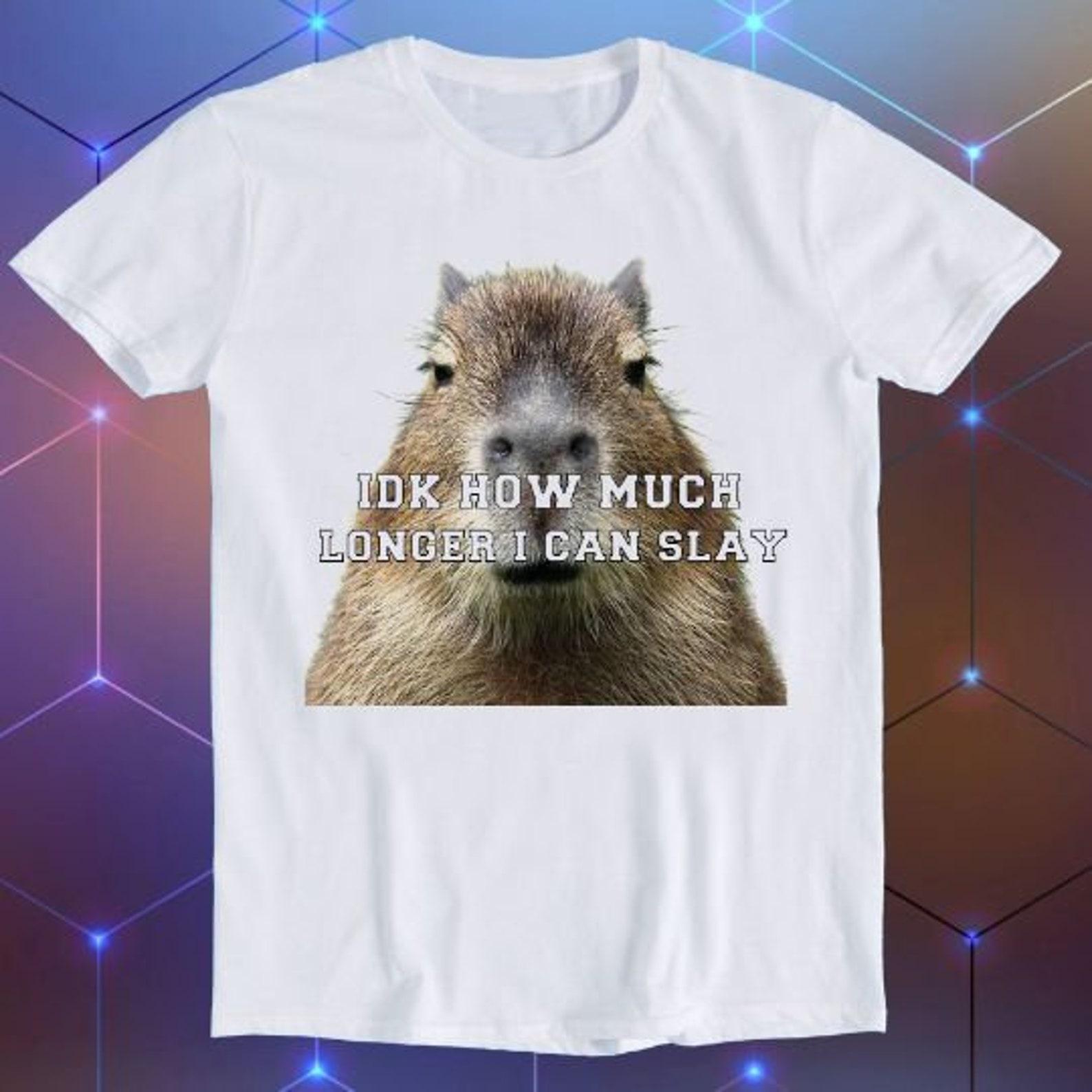 Idk How Much Longer I Can Slay Capybara Sarcastic Dank Meme Funny Gift T-Shirt E945 XL
