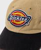 Dickies Big Logo Washed Ball Cap Mix
