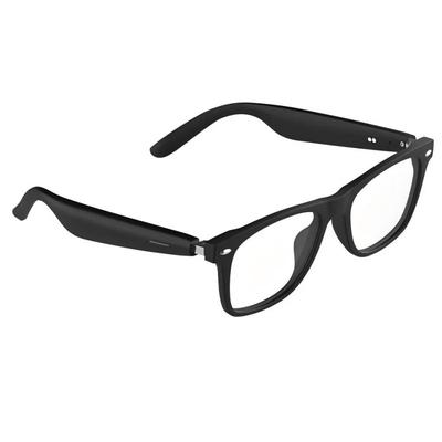 Newmine AI Smart Translation Glasses