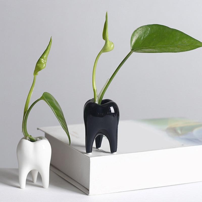 Ceramic Fleshy Plant Pot Tooth Shape Cartoon Ceramic Fleshy Plant Cactuses Flower Planter Home Desk Gardening Accessory