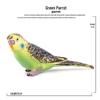 Children's Static Wild Animal Bird and Parrot Figure Set