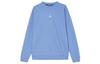 Sweatshirts Men's Blue Crew Neck Moderate Other FV8625-469
