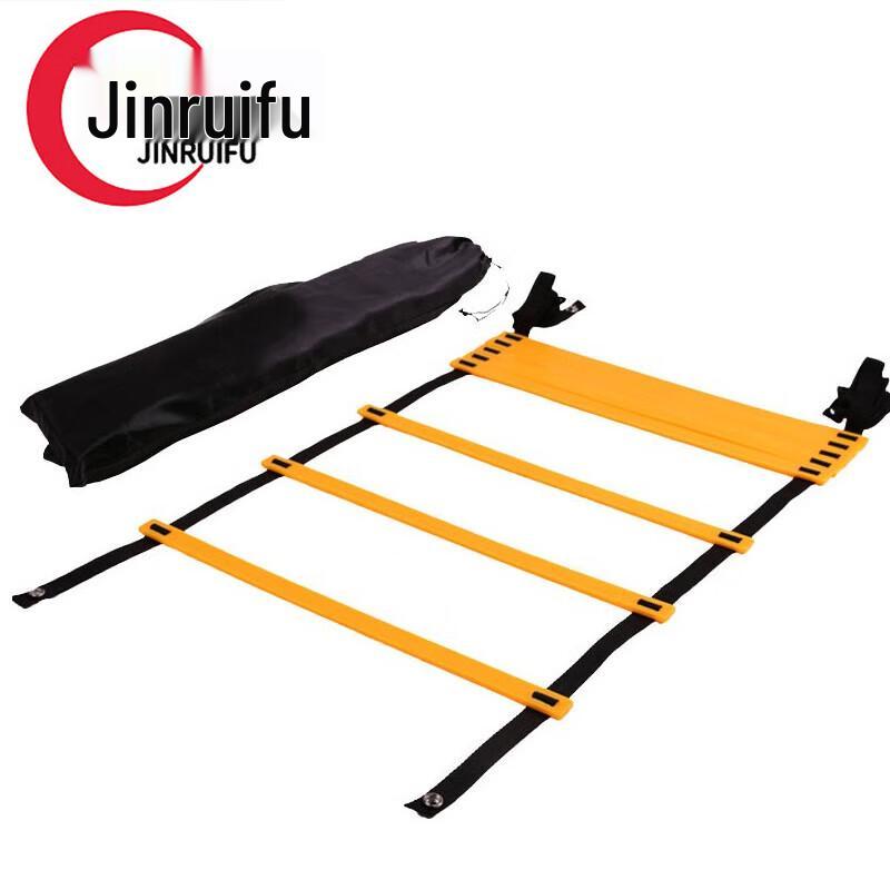 Agility Training Ladder