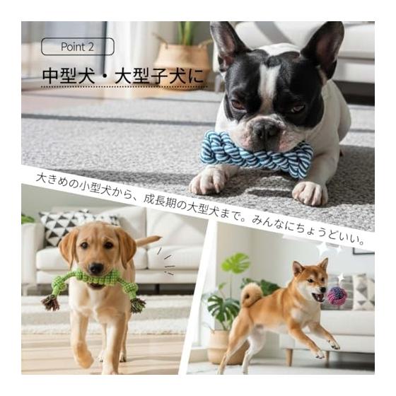 Set of 10 Dog Toys, Sturdy, Small Dogs, Medium Dogs, Large Dogs, Dog Toys, Rope, Ball, Frisbee, Toothpaste, Educational Toys, Chewing Pet Toys, Cat