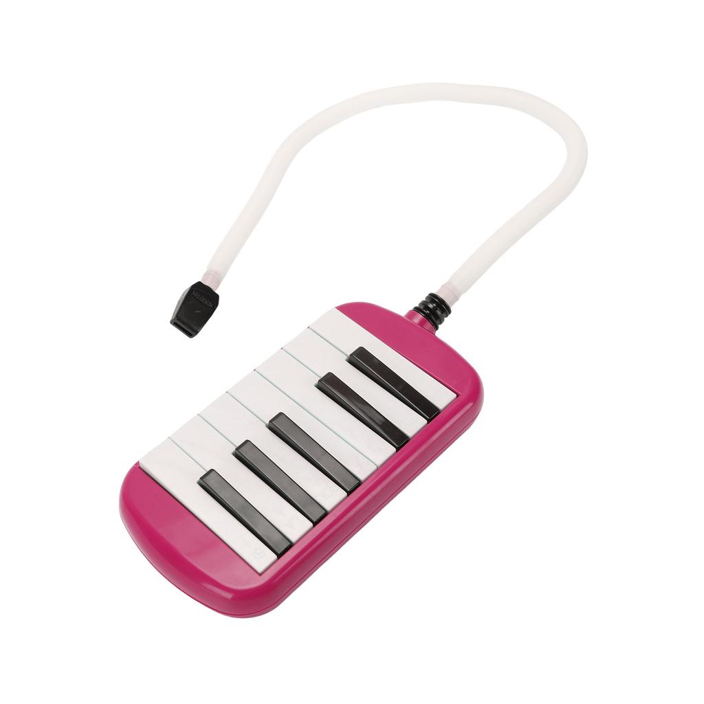 12 Key Melodica Instrument with Tube Piano Keyboard for Beginners Kids and Adults