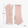 Seasonal Fashion Versatile Solid Color Five-finger Finger Warm and Cold-proof Gloves Women's Casual High-end Sleeves Men