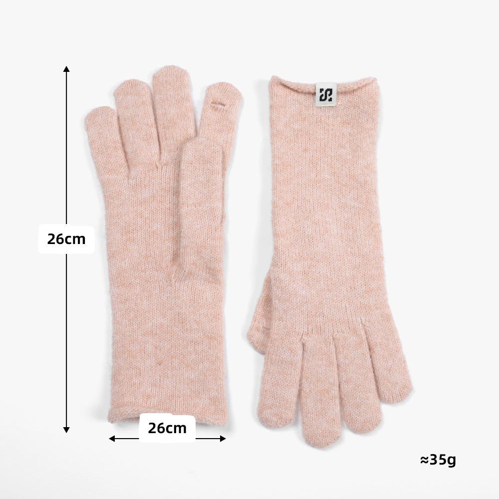 Seasonal Fashion Versatile Solid Color Five-finger Finger Warm and Cold-proof Gloves Women's Casual High-end Sleeves Men