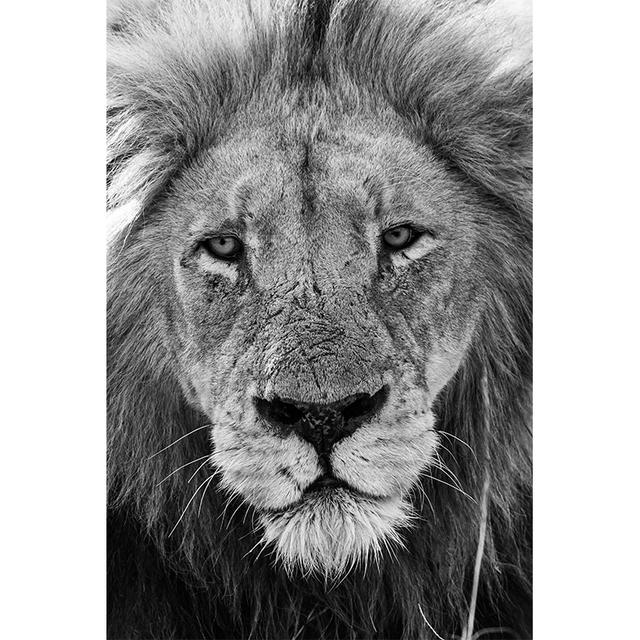 Black White Animals Art Lions Oil Painting Canvas Art Posters and Prints Wall Pictures for Living Room Home Wall Decor