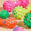 Randomly Shipped Pet Chew and Sound Toys
