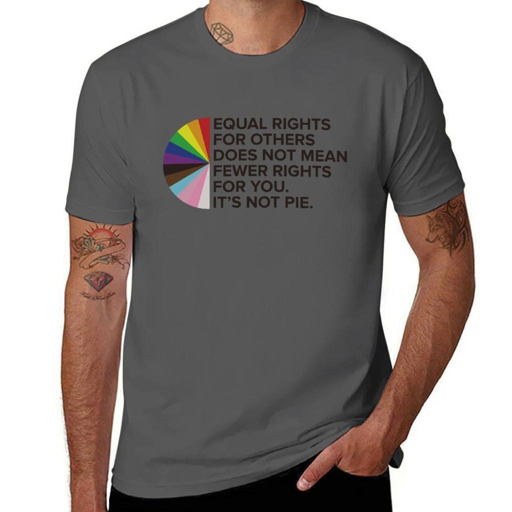 Equal Rights Lgbtqia+ Pride Awareness Inclusivity Ally T-shirt Funny T Shirts Dark Humor T Shirts With Prints T-shirt