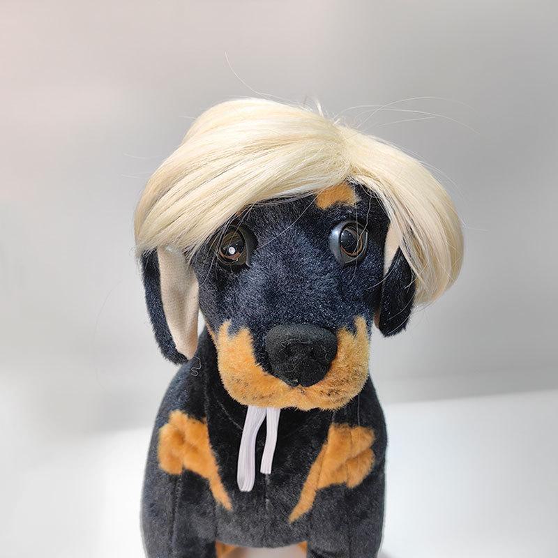 Lustige grenzüberschreitende Haustierperücken für Katzen und Hunde: Kostüm im Trump-Stil für Halloween-Partys