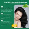 Shampoo Hair Conditioner Set Deep Cleaning Moisturizing Nourishing Repair Damaged Dry Oil Control Shampoos Tea Tree Hair Care