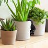 Cat Shape Plant Pot Hanger Outdoor Flowerpot Decoration Hangable Whimsical Cat Pot Hanger for Yard Lawn Patio Balcony Home Vase