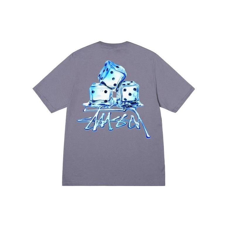 Stussy T-shirt Unisex SS23 1904900