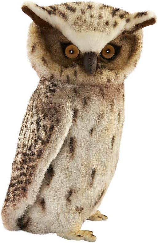 Bh6767 Hansa Shima Owl 26