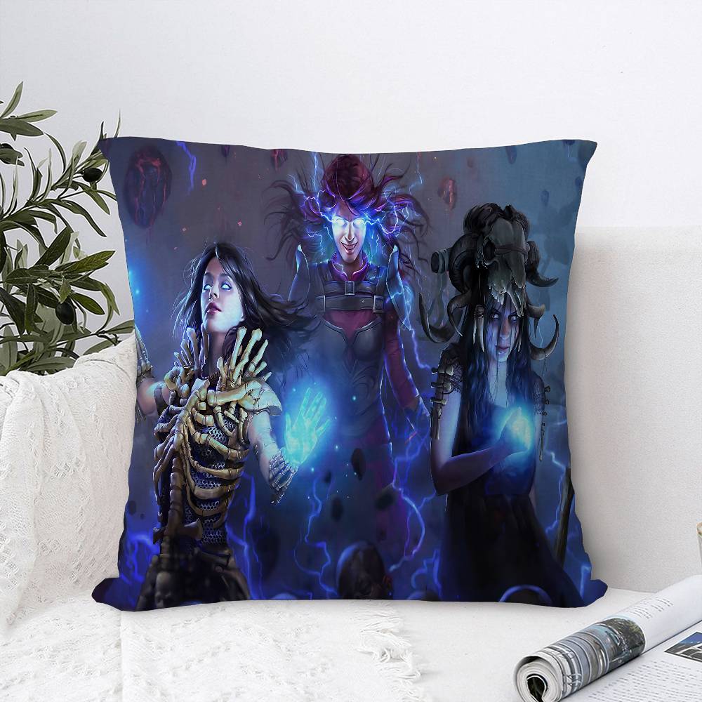 Path Of Exile Personalized Pillow Cover Kids Bedroom Wild Party Decor Pillowcase Kid Birthday Shower Gift