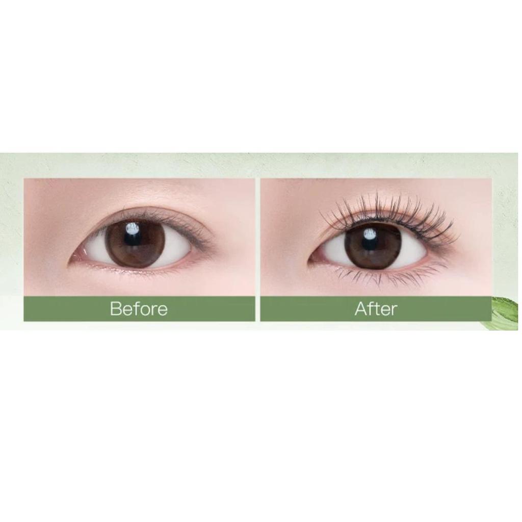 WOSADO Magnetic Eyelashes, No Glue Required, Natural-Looking, Korean-Style, Black Color, 9.5-10~11-10mm Length, 21.5mm Width