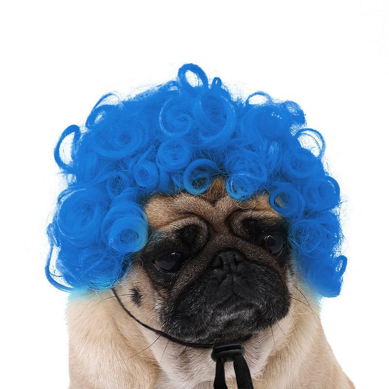 Are 10 Here Suggested Titles For The Pet Wig Product Based On The Information Provided