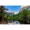 Natural Scenery 3D Wall Mural Forest and Lake Wallpaper for Living Room TV Background Wallpaper Home Decor Mural