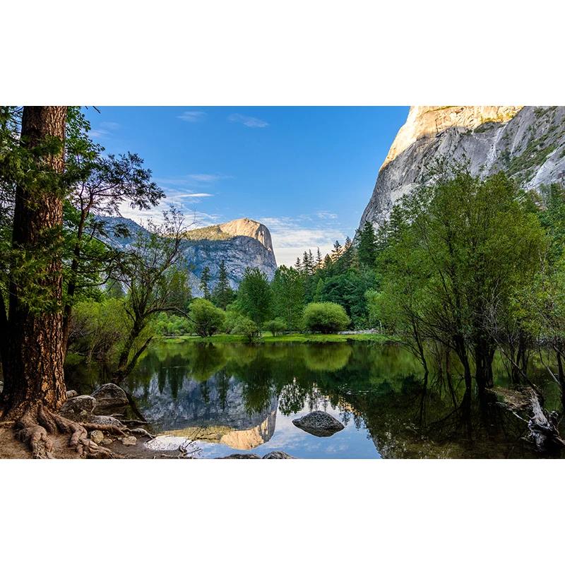 Natural Scenery 3D Wall Mural Forest and Lake Wallpaper for Living Room TV Background Wallpaper Home Decor Mural