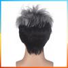 2025 Europäische Mode Perücke Kurze Gerade Perücke Für Männer HW710