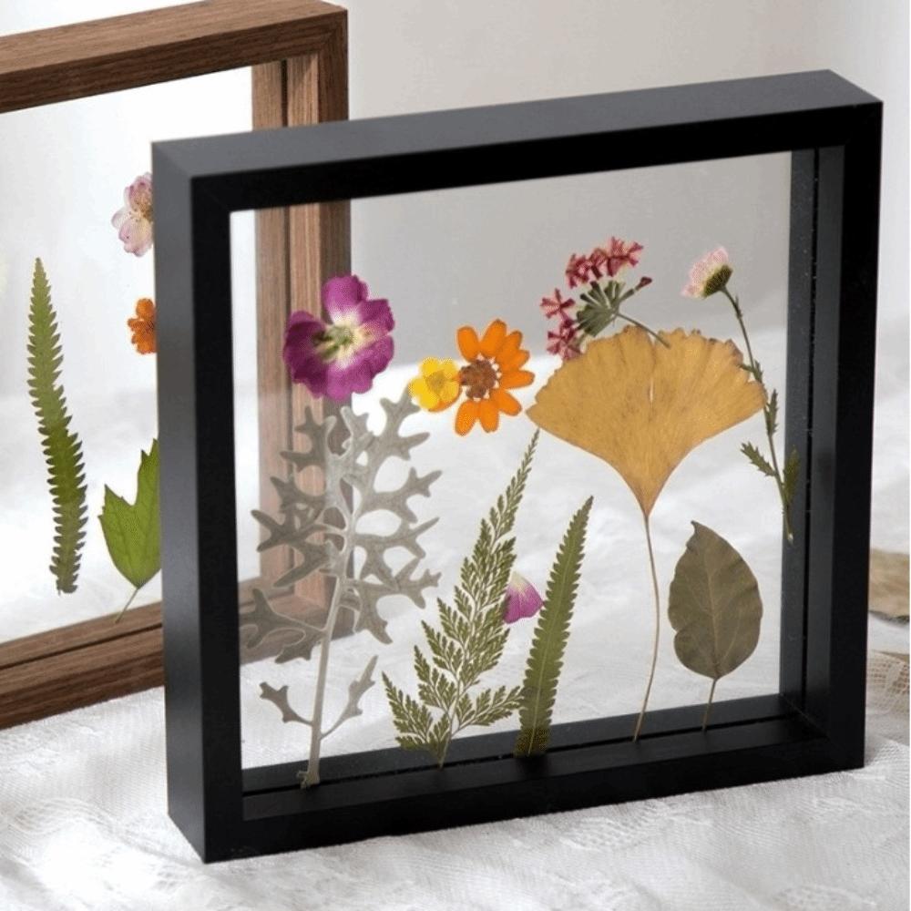 Double Side Glass Pressed Flower Frame 6in/8in/10in Clip Design Plant Specimen Frame Black & Wood Color Herbarium Clip Frame