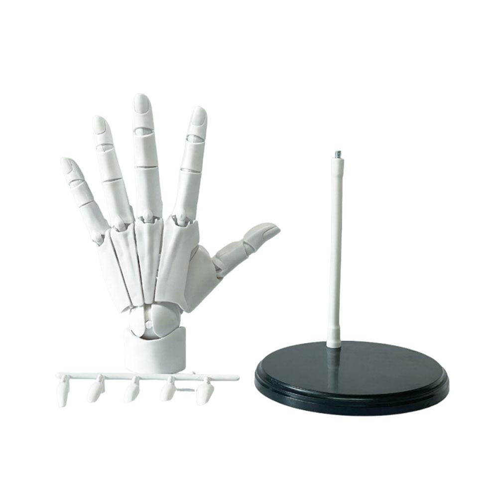 Left/Right Articulated Hand Model Hand Finger Joint Figurine  Simulation Sketching Painting