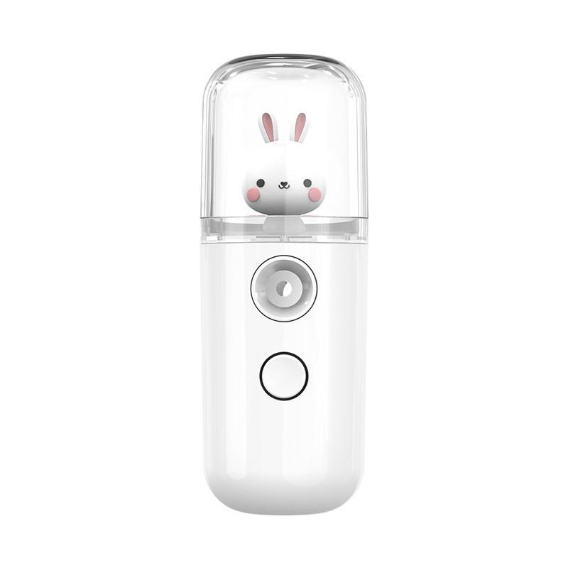 USB Rechargeable Portable Mini Humidifier and Beauty Spray Device