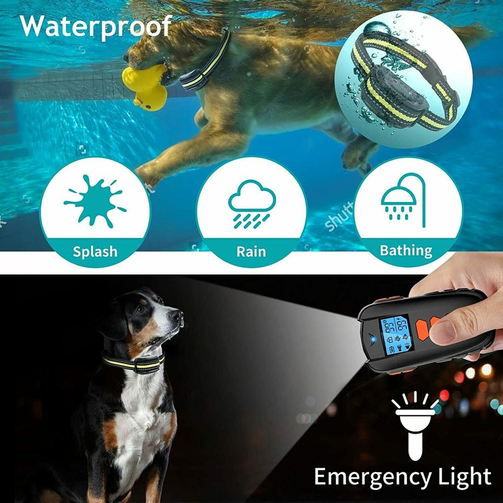 Elektroschock Haustier Hund Training E-Halsband Anti-Bark Gehorsam  Fernbedienung Dex  zu niedrigen Preisen im Onlineshop Joom kaufen