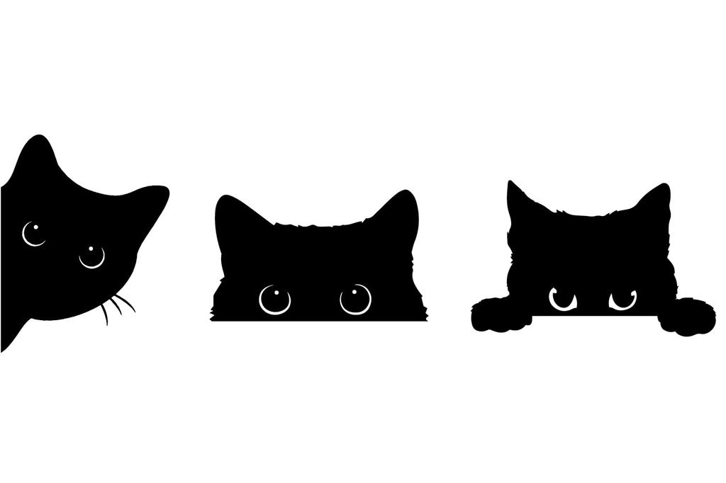 Cat Cat Cat Funny Parody Sticker Sticker for Entryway, Door, Car, Motorcycle, Etc. Quality