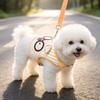 Cartoon Design Dog Harness and Leash Set Breathable Pet Chest Strap Set Durable Pet Vest  Puppy