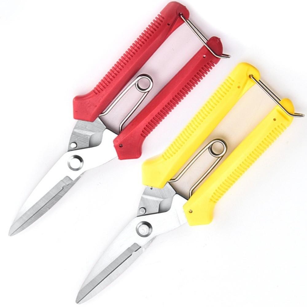 Stainless Steel Gardening Pruning Shears Precision Cutting Hand Pruner Branch Shears  Fruit Tree
