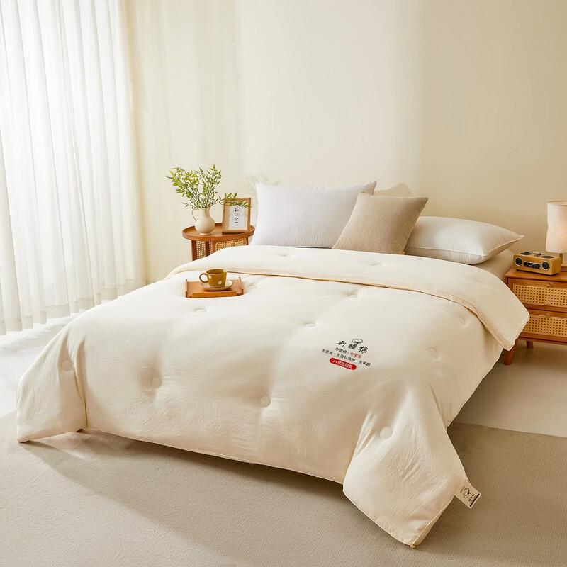 Brangdy Thick Warm All-Season Quilt