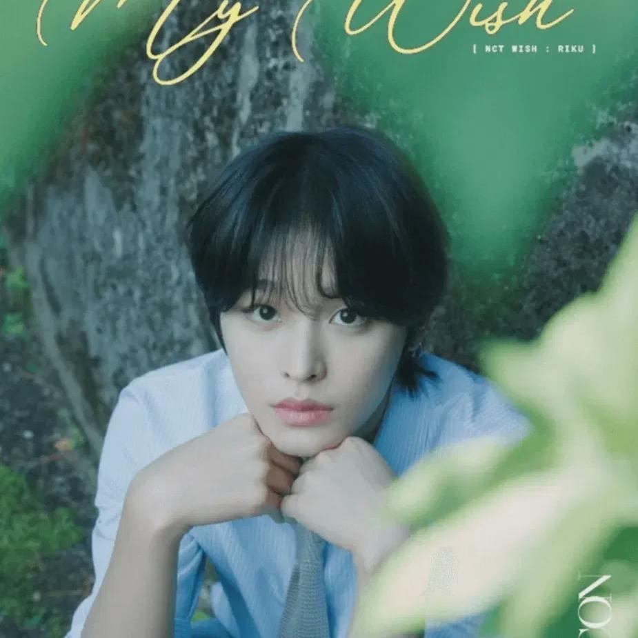 

Ncitywish Рику Тип D Иконка Полный Парк