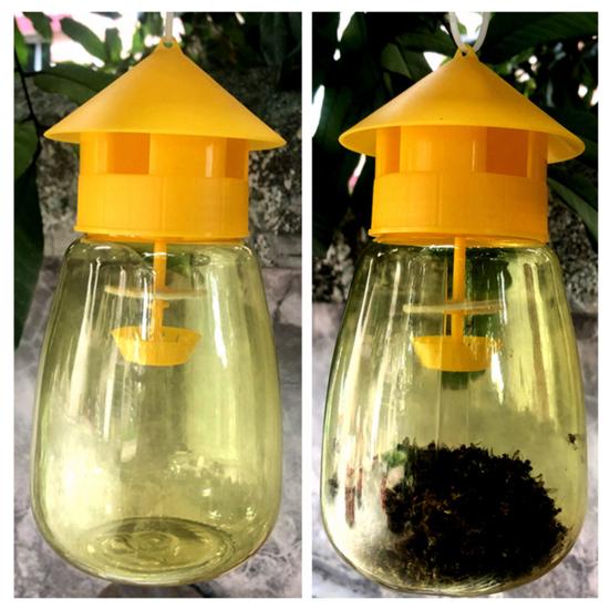 Fruit Fly Trap for Garden Hanging Melon Fly Catcher Outdoor Fly Trap Capture Fruit Flies from Trees Melons for Home Orchard