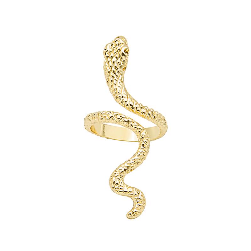 Snake-Shape Punk Hip-hop Ring: Openwork Spirit Animal Design