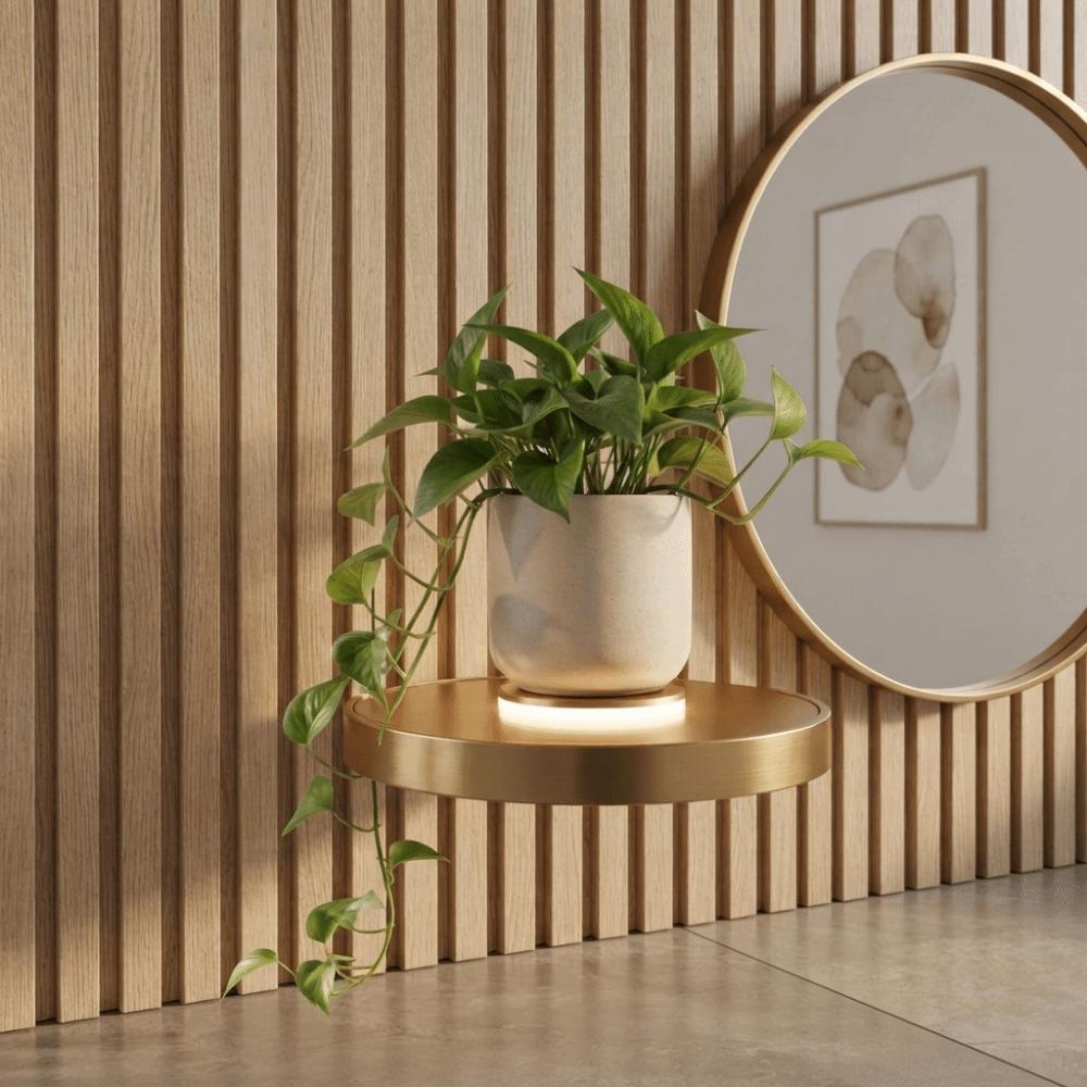 Wall Mounted Floating Wall Shelf Built-in LED Lights Wall Mount Shelf Display Storage