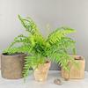 Artificial Fern Bunch: Natural-Looking Small Fern Leaves & Lush Greenery