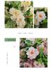 Geometric Iron Art Wedding Flower Ornaments for Event Decoration