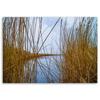 Leinwandbild, See Natur Landschaft Schilf