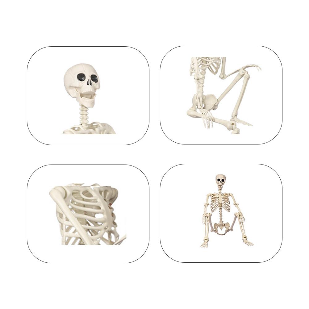 5.4FT Halloween Life Size Skeleton Halloween Skeleton With Movable Joints Realistic Full Body Skeletons For Halloween Props Spooky Party Decoration