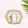 Frame Desktop Ornament Iron Geometric Pattern Glass Planter Hydroponic Vase Terrarium Metal Holder