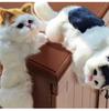 Creative Pet Cat Figurine: Home Decor & Children's Toy