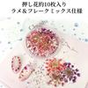 CHUNHE Dried Flower Glitter Mix for Nail Art Pressed Flower Inclusion Parts Compatible with Gel Nails and UV Resin Creates a nuanced nail look Perfect