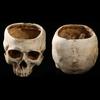 Resin Crafts Human Tooth Skull Fossil Teaching Skeleton Model Halloween Home Office Flower Pot Planter Skull Pot Decoration