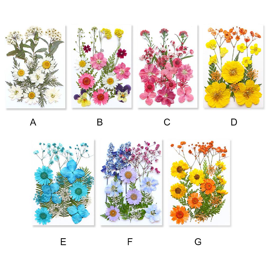 Dried Pressed Flower Handmade Decorative Artificial Flowers Dry Plant Resin Scrapbook Craft DIY Accessories Home